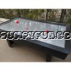 airhockey professional huren